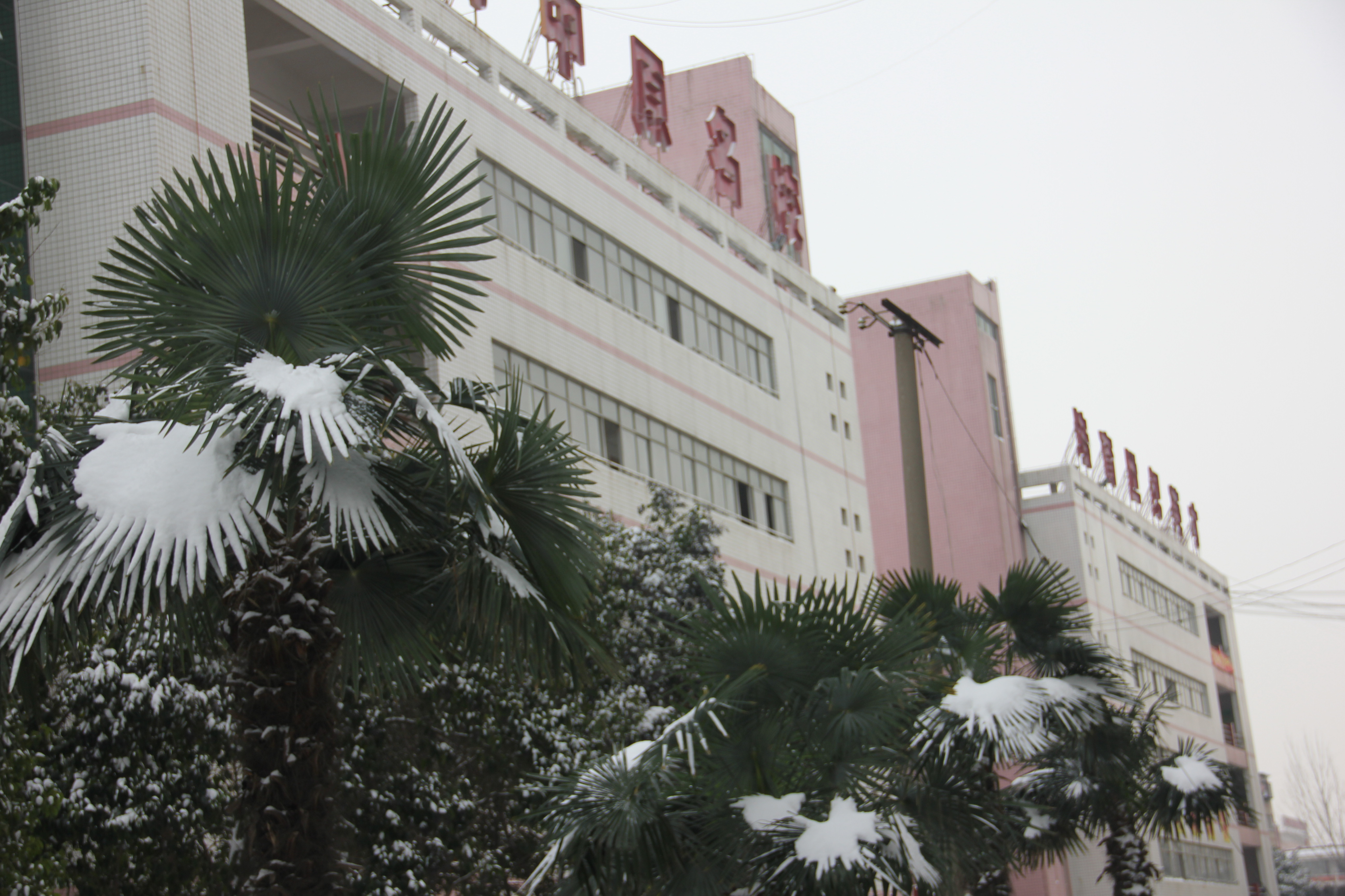 2016年第一场雪校园雪景