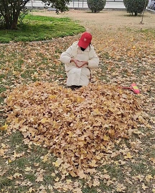 劳动教育结硕果，文明花开遍校园